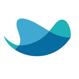 RAYNET CRM logo